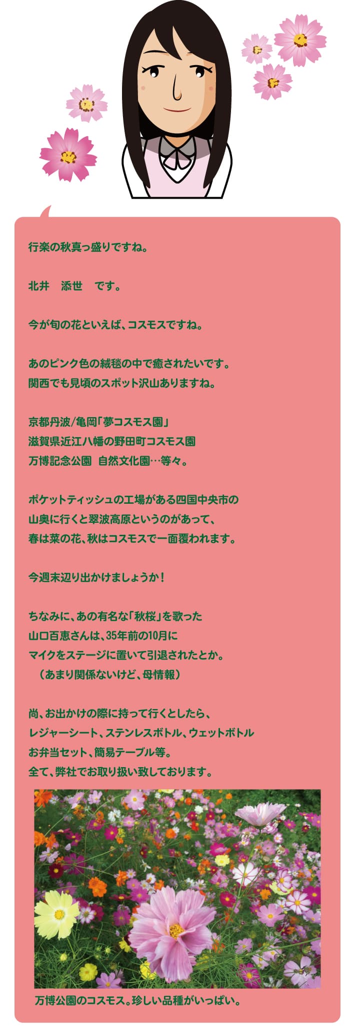【第80回】秋桜～コスモス～