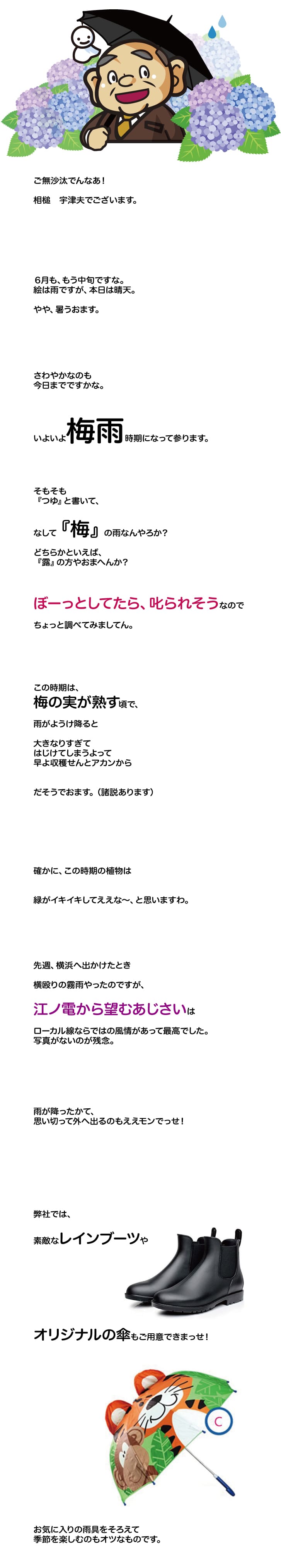 【第258回】梅雨入りでんなぁ